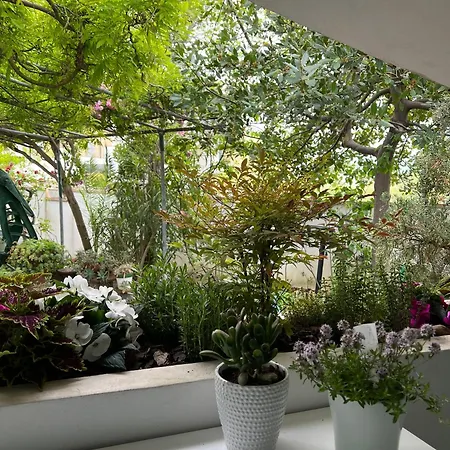 Bed & Breakfast I Versi Del Mare 4*