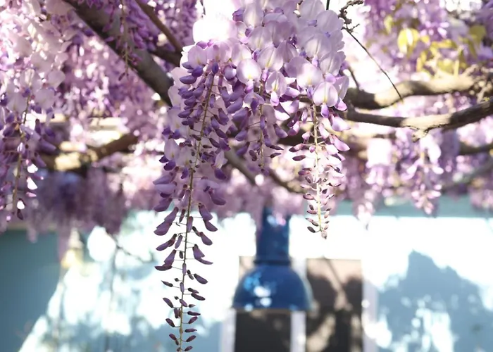 I Versi Del Mare Alojamento de Acomodação e Pequeno-almoço Roseto Degli Abruzzi