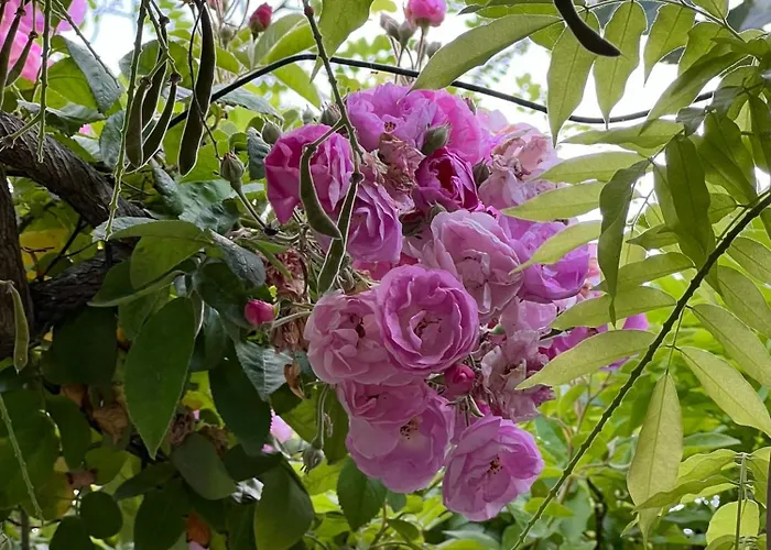 I Versi Del Mare Roseto Degli Abruzzi