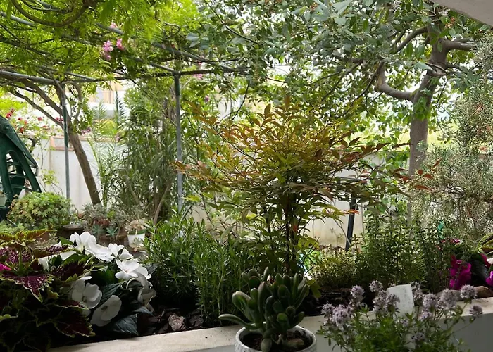 Alojamento de Acomodação e Pequeno-almoço I Versi Del Mare 4*