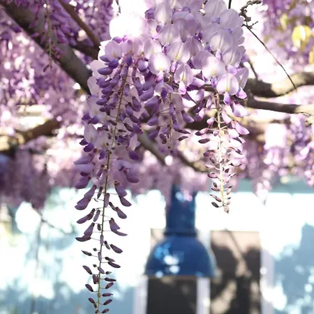 I Versi Del Mare Bed & Breakfast Roseto Degli Abruzzi